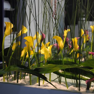 Dekoration & Raumgestaltung - Hydrokulturen, Zimmerbrunnen, Seidenblumen, Seidenpflanzen, Trockenpflanzen, Trockenblumen